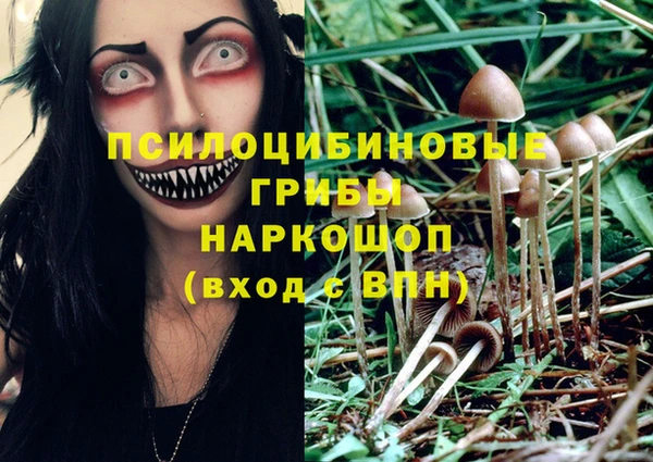 МДМА Алексеевка