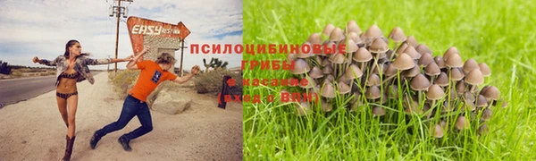 МДМА Алексеевка