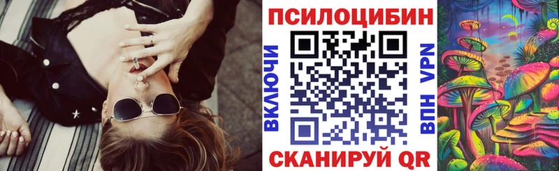 купить  цена  Выкса  Псилоцибиновые грибы мицелий 