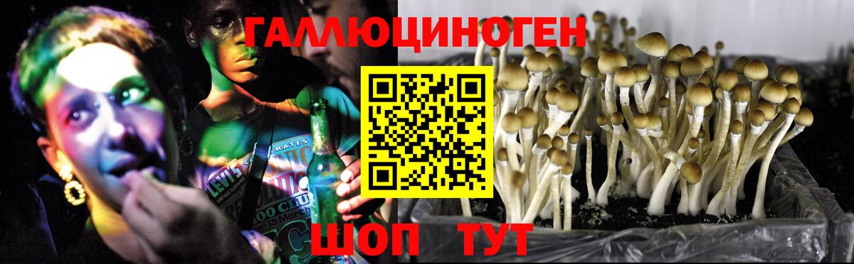 Псилоцибиновые грибы Psilocybine cubensis  Псилоцибиновые грибы Cubensis  Выкса  Вход с VPN 